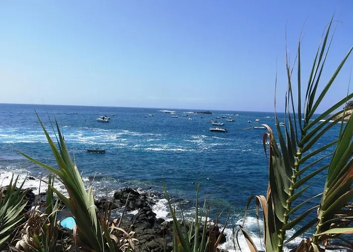 Апартаменты In Americas With Amazing View Плая-де-лас-Америкас